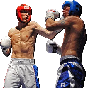 Polsat Sport Fight Poland (CH-7) 